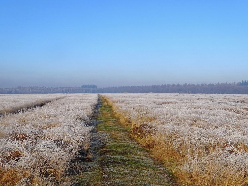 Noordsche veld